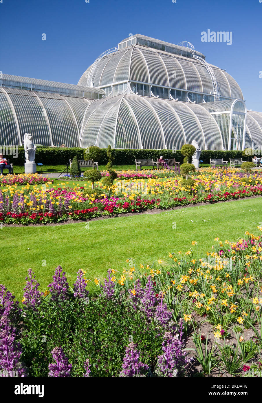 The Palm House at Kew Gardens Stock Photo