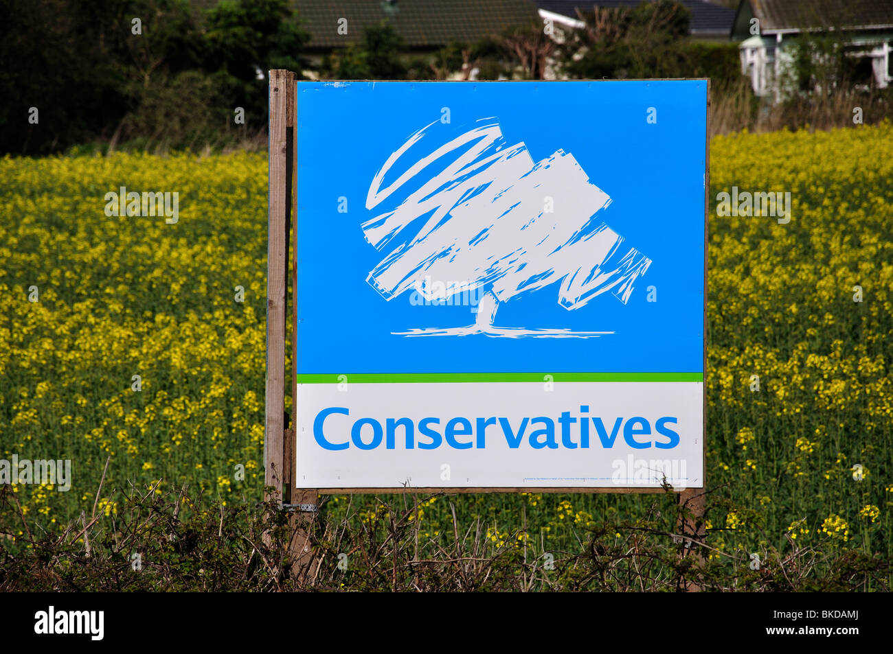 Conservative Party election sign in field, near Middleton-on-Sea, West Sussex, England, United Kingdom Stock Photo