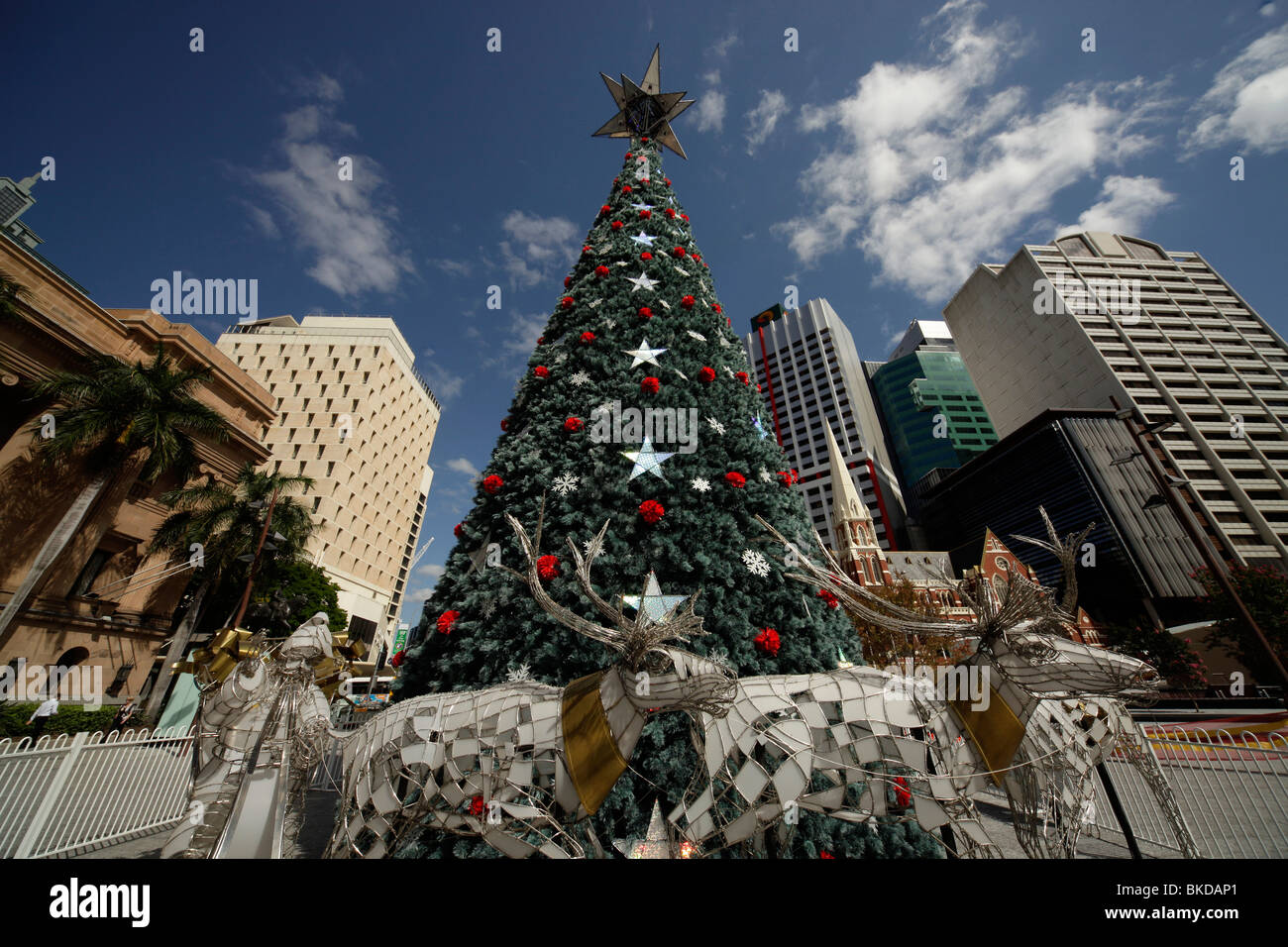christmas tree on King George Square in Brisbane, Queensland, Australia Stock Photo