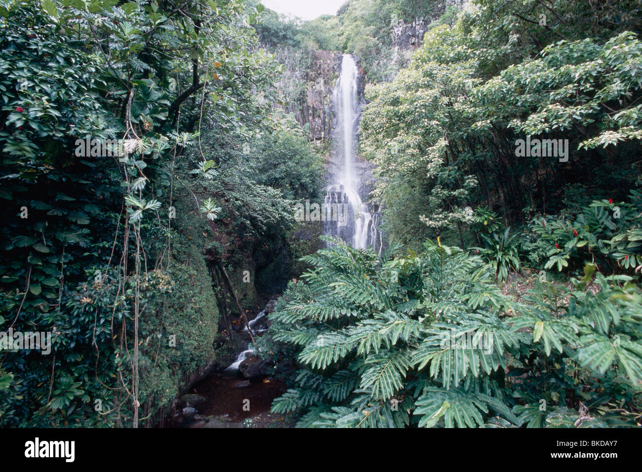 Waterfall on Hana Highway, Wailua Falls, Maui, Hawaii Stock Photo