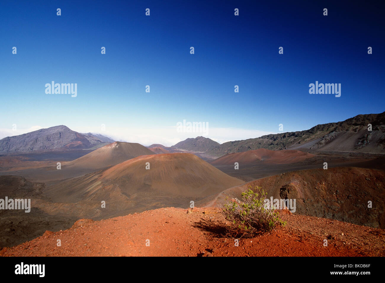 Cinder Cones in Haleakala's Caldera, Maui, Hawaii Stock Photo Alamy