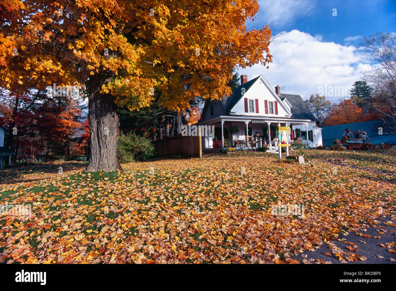 Jackson new hampshire hires stock photography and images Alamy
