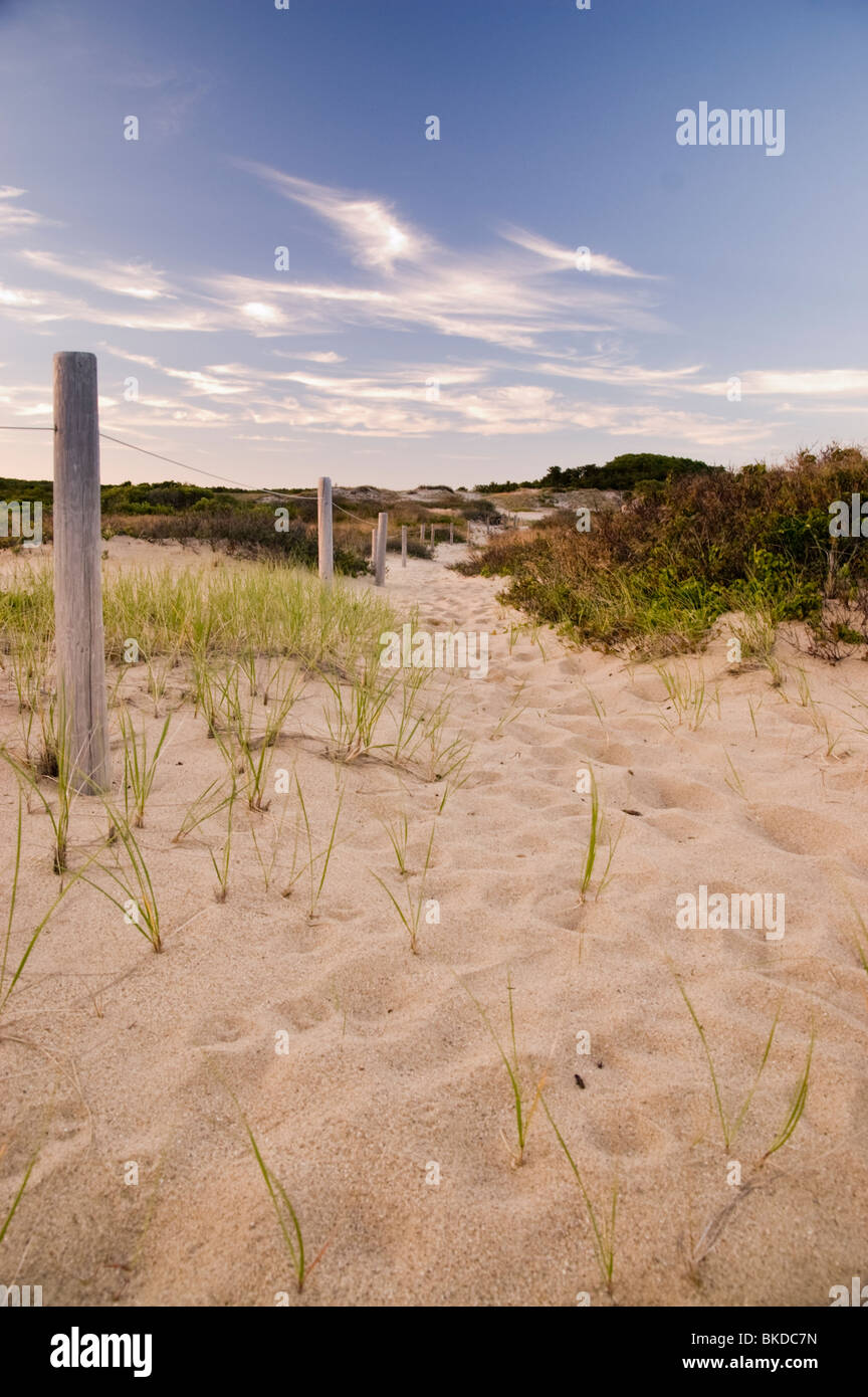 Sand Dunes at Cape Cod National Seashore, Provincetown, Massachusetts Stock Photo