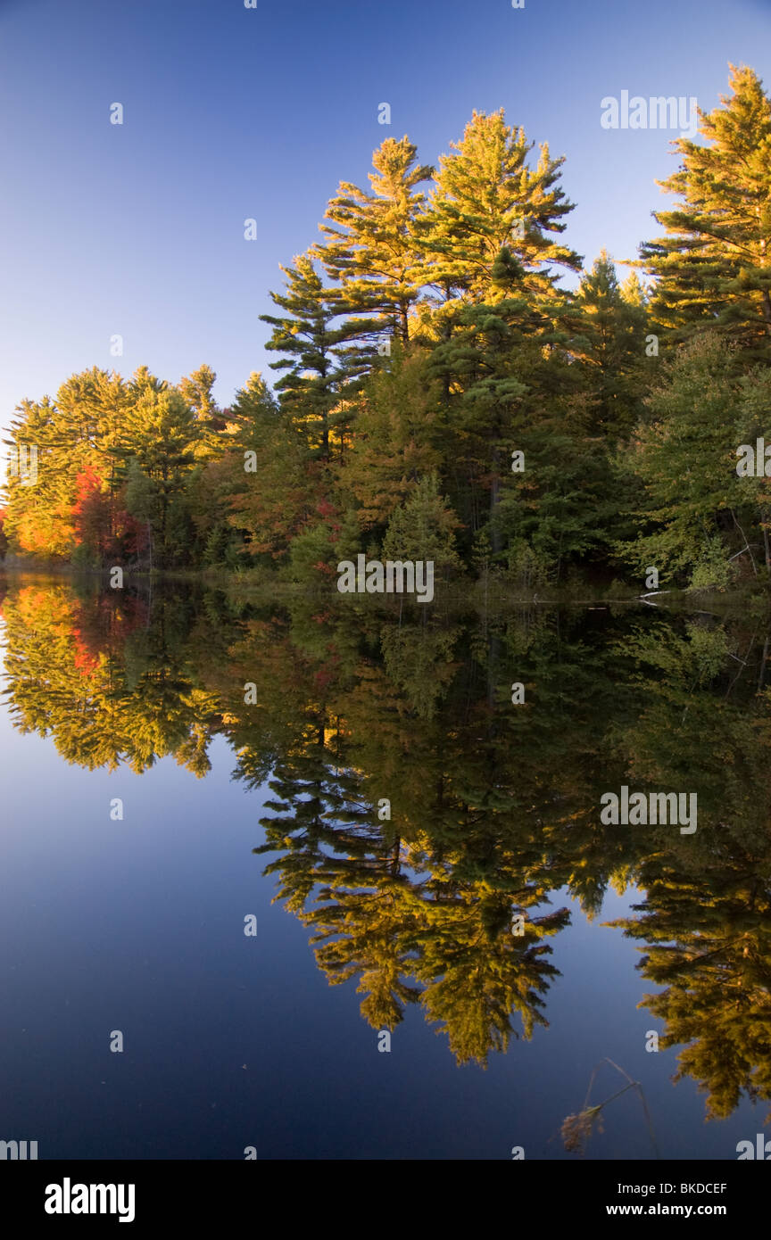 Fiske Pond, Fiske Pond Conservation Area, Wendell, Massachusetts Stock
