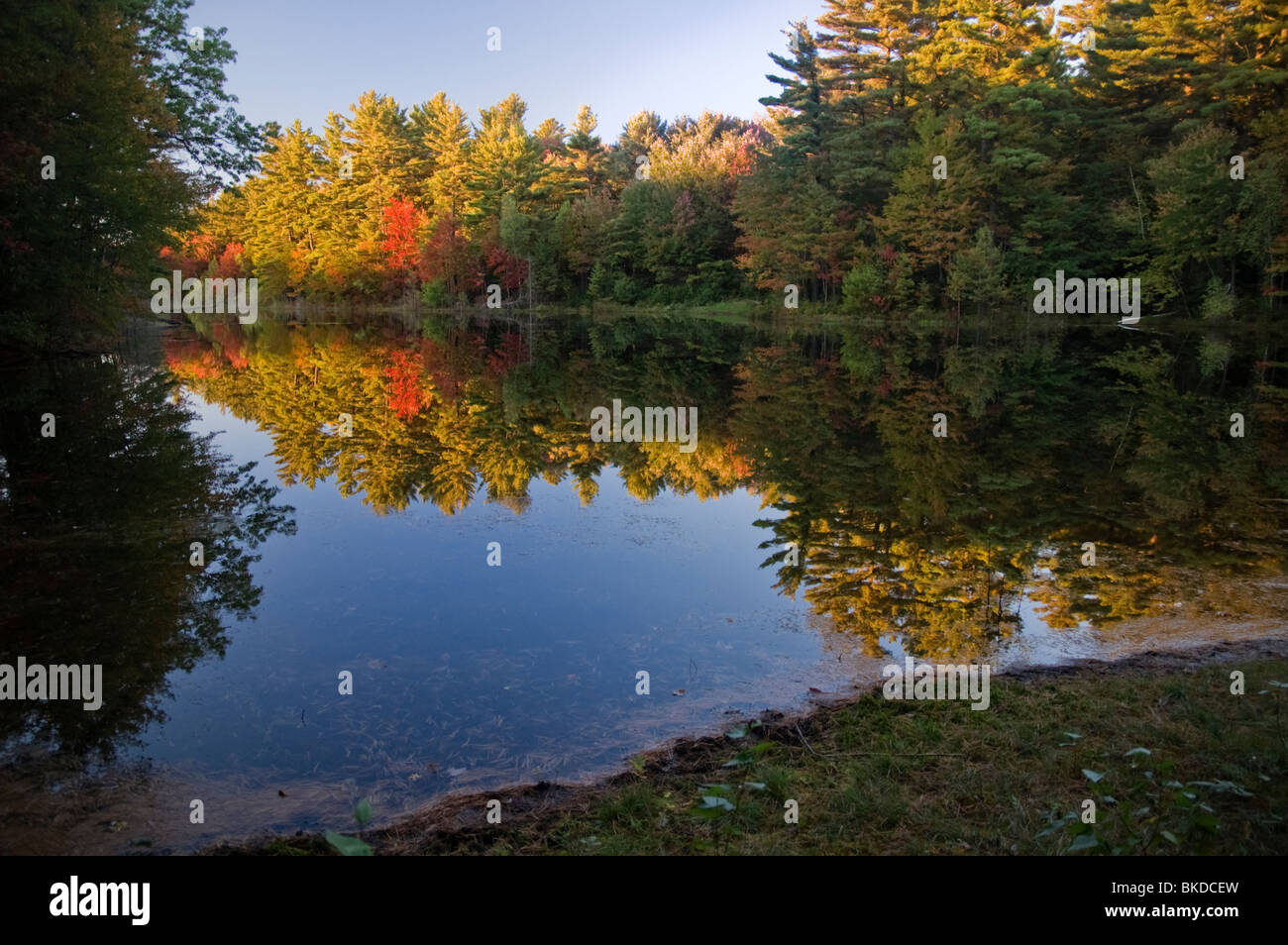 Fiske Pond, Fiske Pond Conservation Area, Wendell, Massachusetts Stock