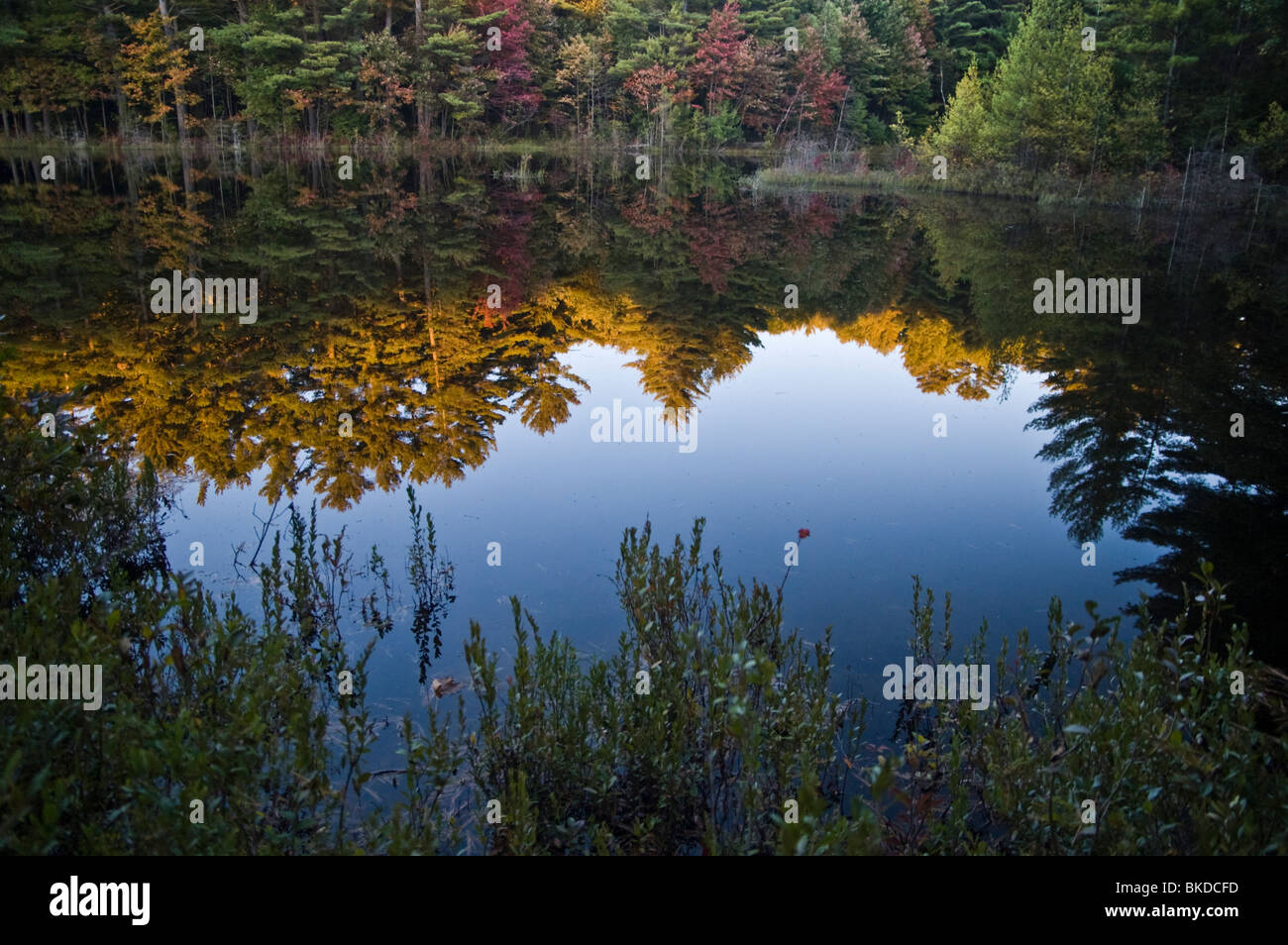 Fiske Pond, Fiske Pond Conservation Area, Wendell, Massachusetts Stock