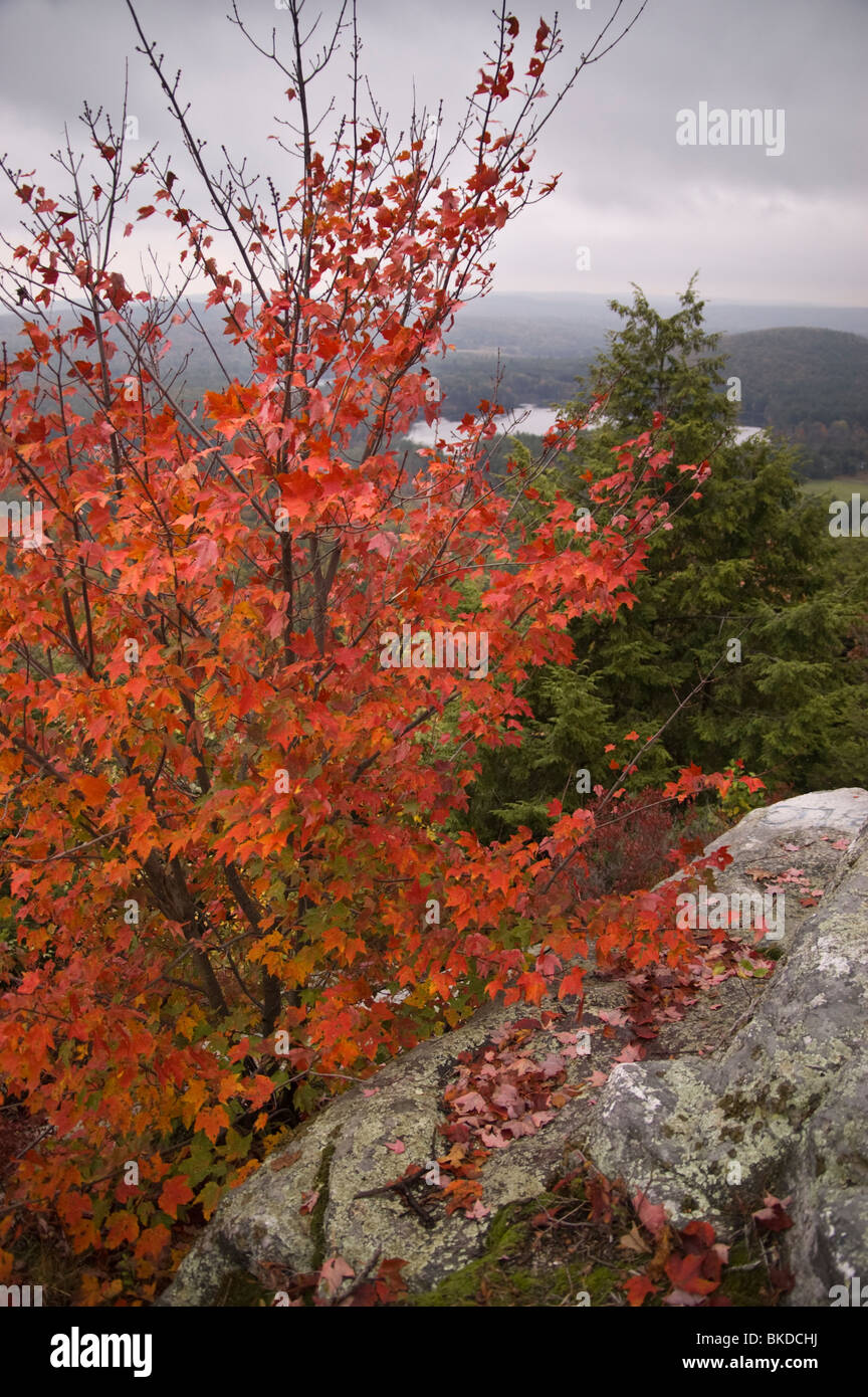 View from the top of Tully Mountain, overlooking Tully Lake, Orange
