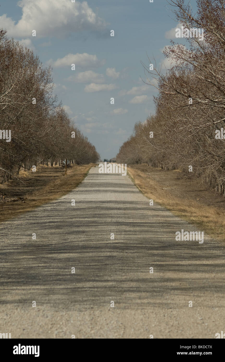 Lonesome spring ranch hi-res stock photography and images - Alamy