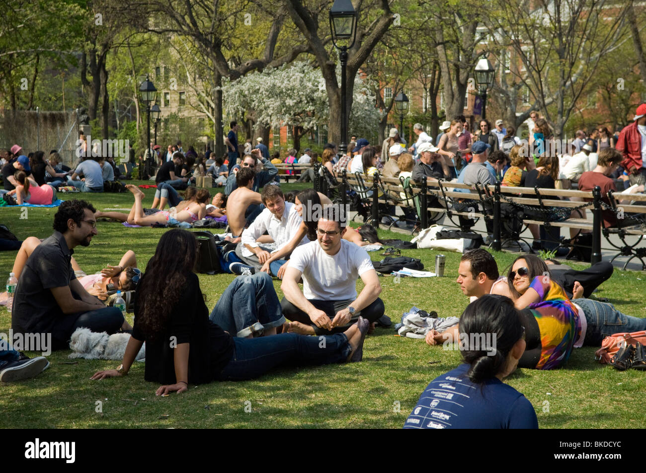 New Yorkers and visitors take advantage of the warm spring weather on a lawn in Washington Square Park in New York Stock Photo