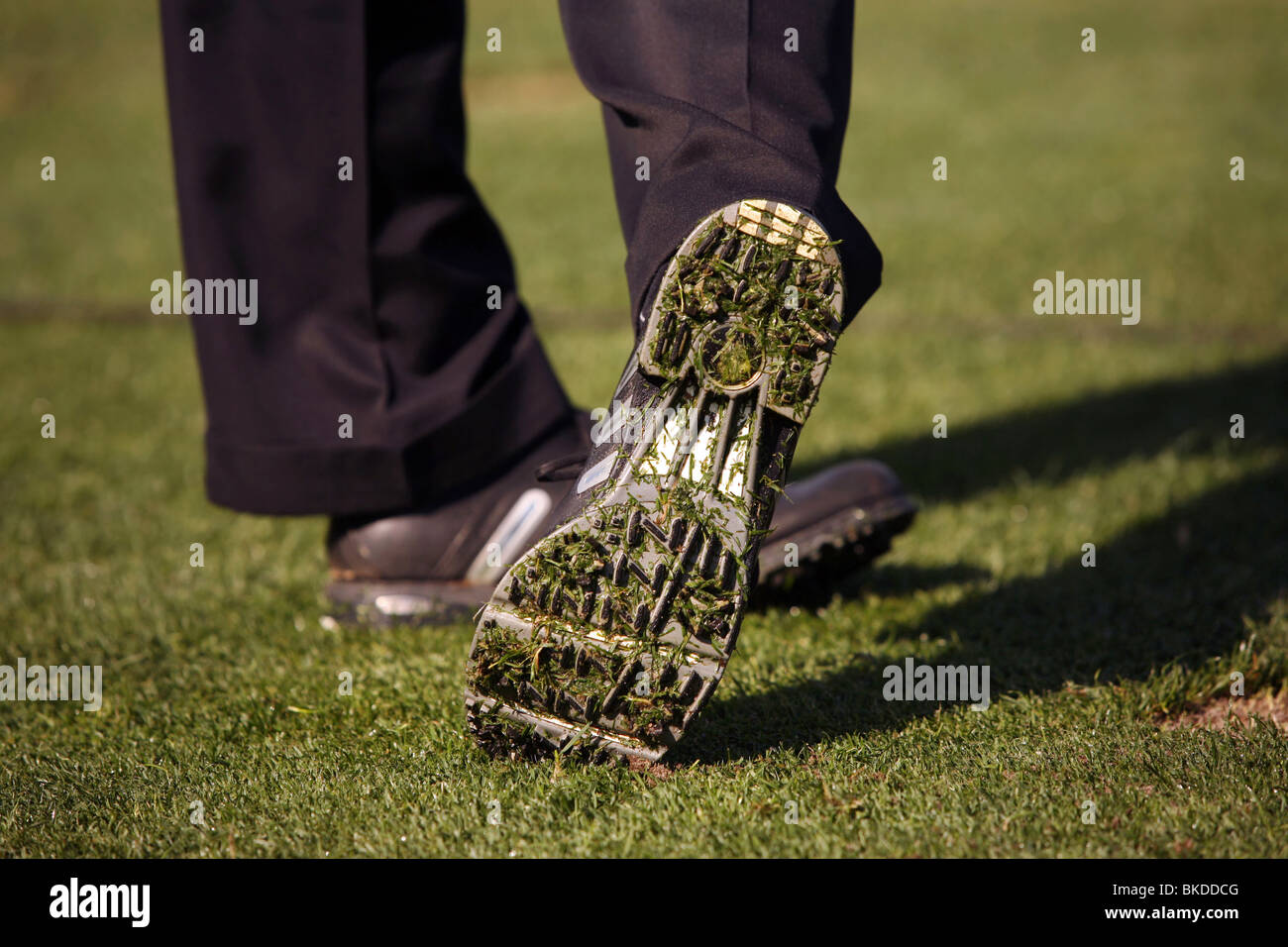 Bottom of Golf Show After Teeing Off Stock Photo - Alamy