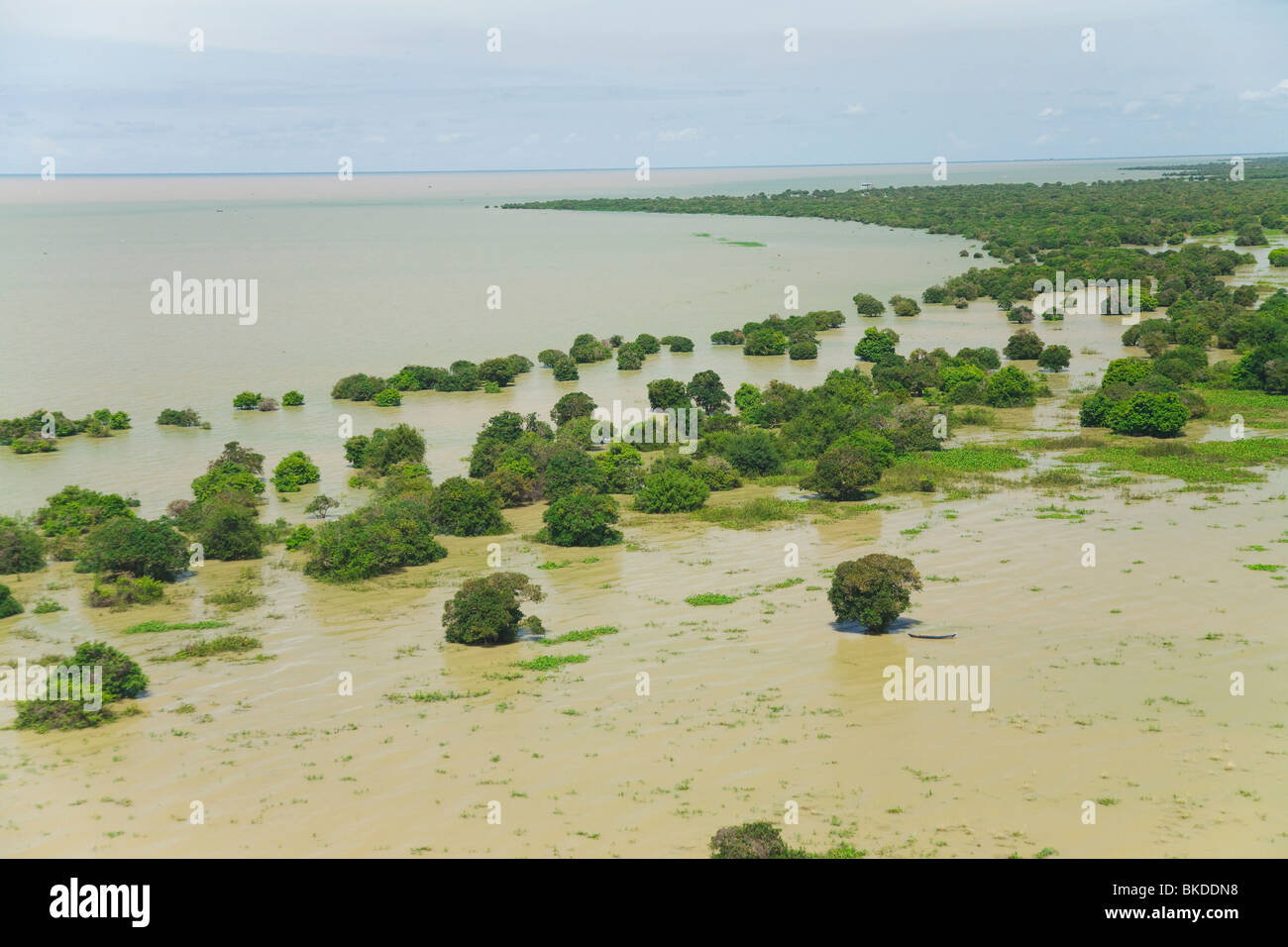 Flooded Landscape Over Rice Fields, Tonle Sap, Siem Reap, Cambodia ...