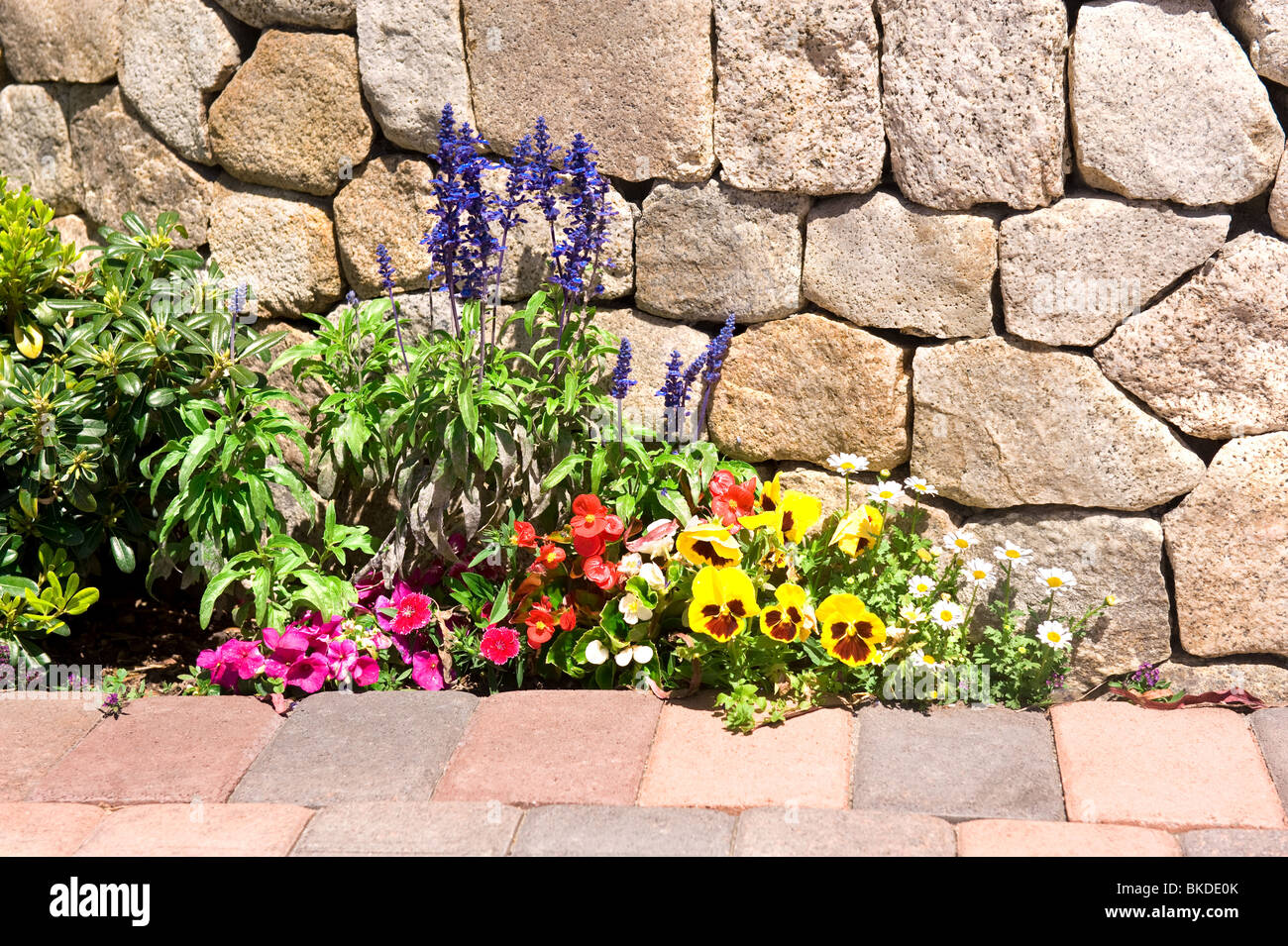 A garden next to a stone wall and paver walkway full of vibrant flowers during springtime. Stock Photo
