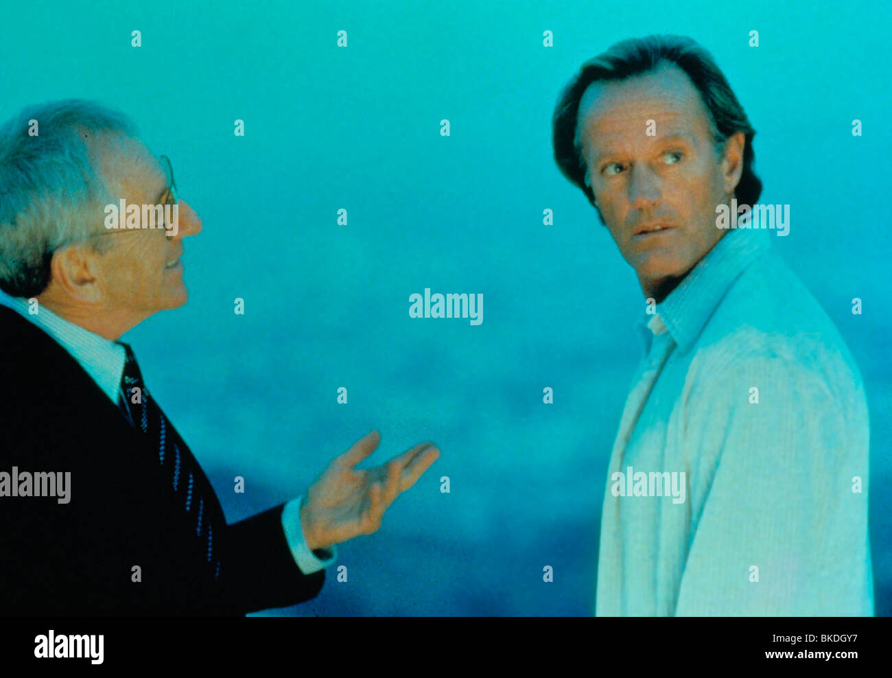 THE LIMEY (1999) BARRY NEWMAN, PETER FONDA LIME 007 Stock Photo