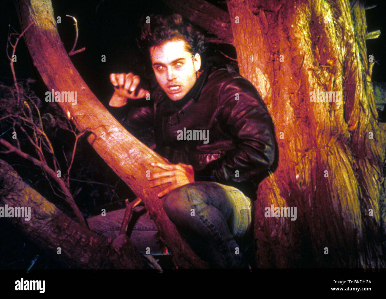 Jason patric, the lost boys hi-res stock photography and images - Alamy