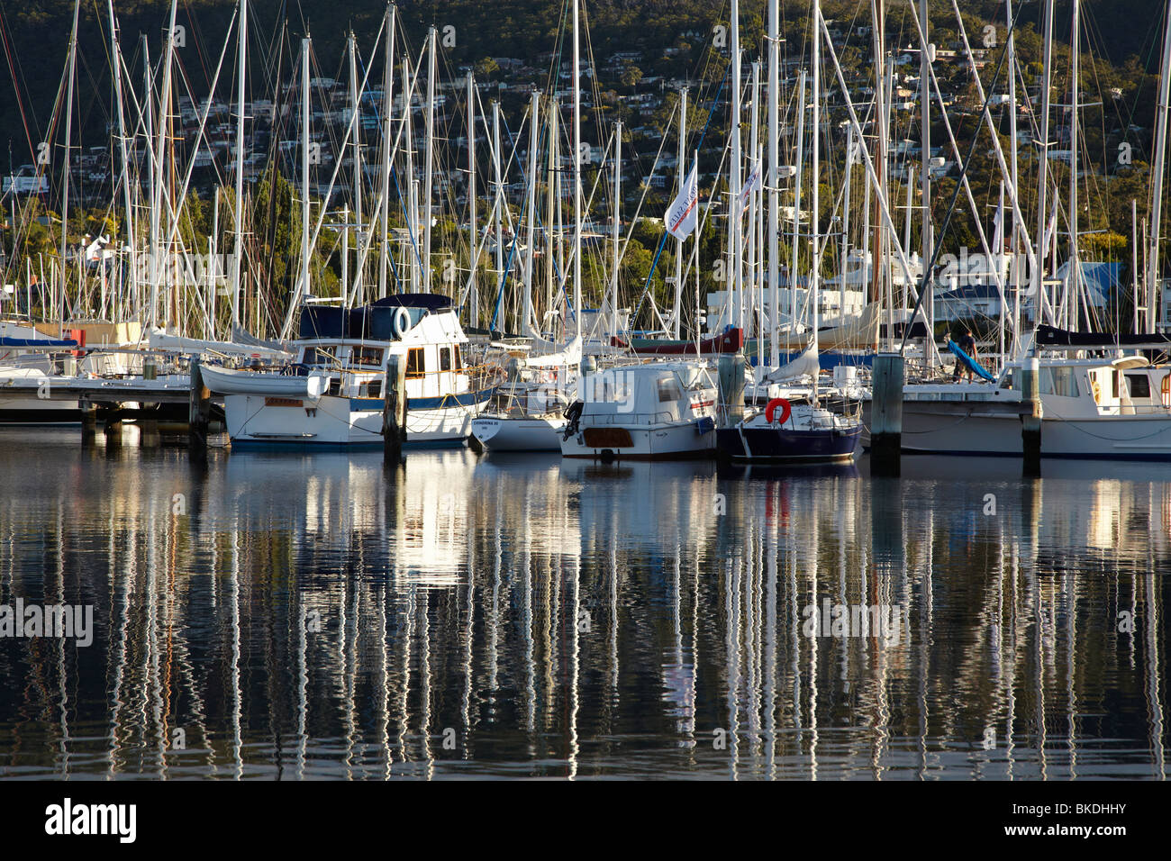 Yachts Moored at Marina by Royal Yacht Club of Tasmania, Sandy Bay, Hobart,  Tasmania, Australia Stock Photo - Alamy