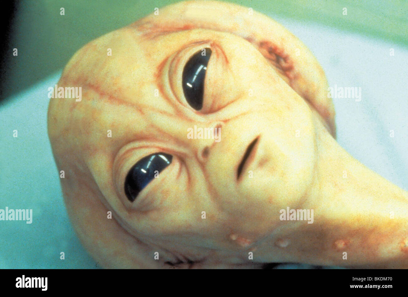 ROSWELL -1994 ROSW 7 CREDIT VIACOM Stock Photo