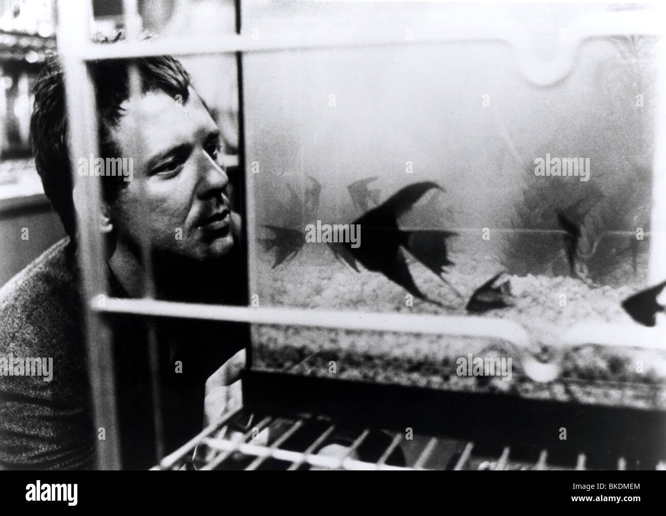 RUMBLE FISH (1983) MICKEY ROURKE RUM 003P L Stock Photo - Alamy