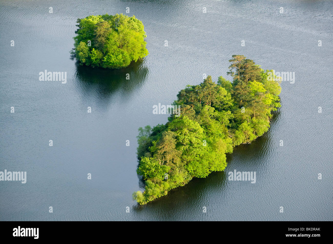 Islands in Rydal water in the Lake District UK Stock Photo