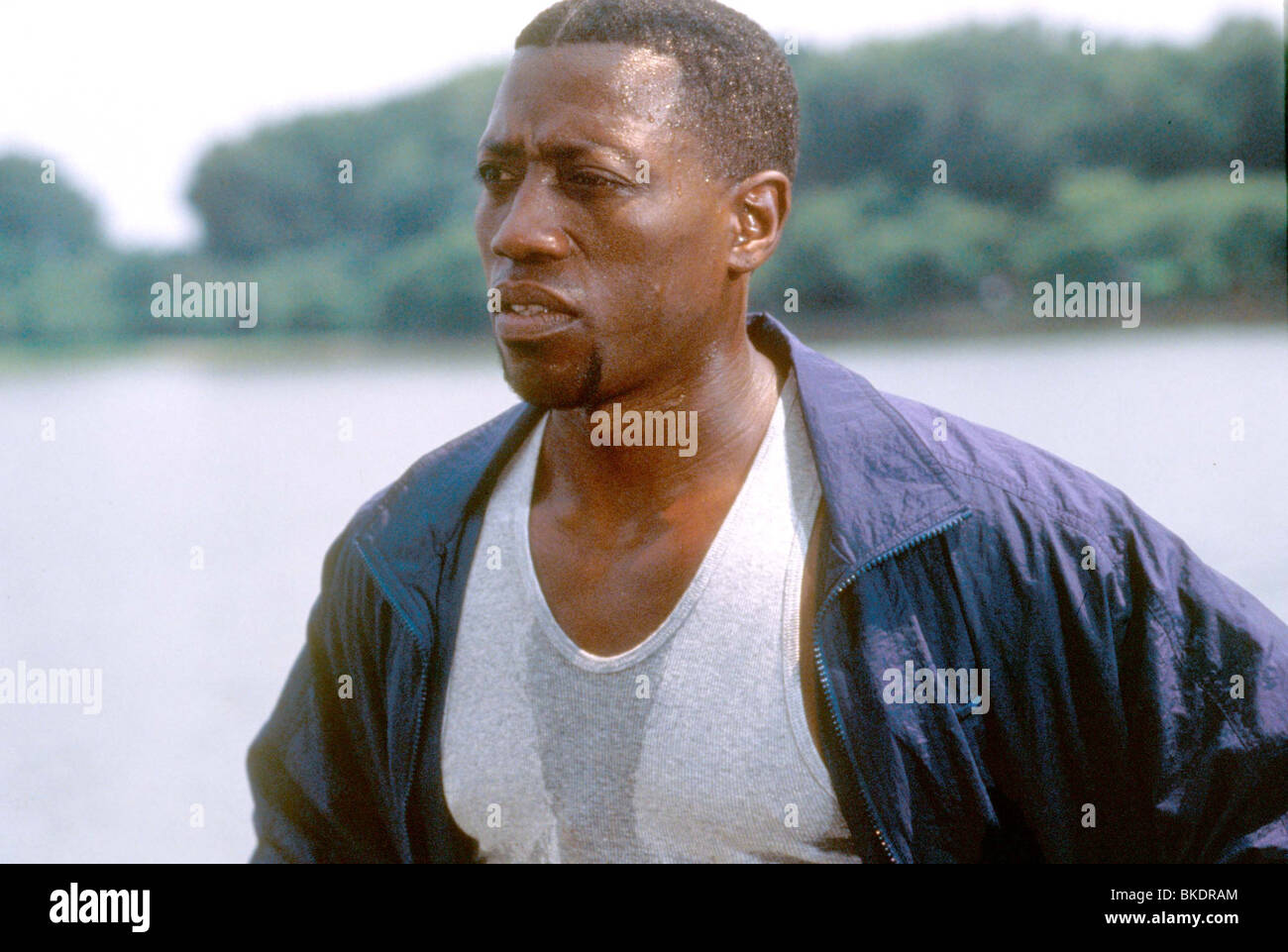 MURDER AT 1600 (1997) WESLEY SNIPES MA16 050 Stock Photo