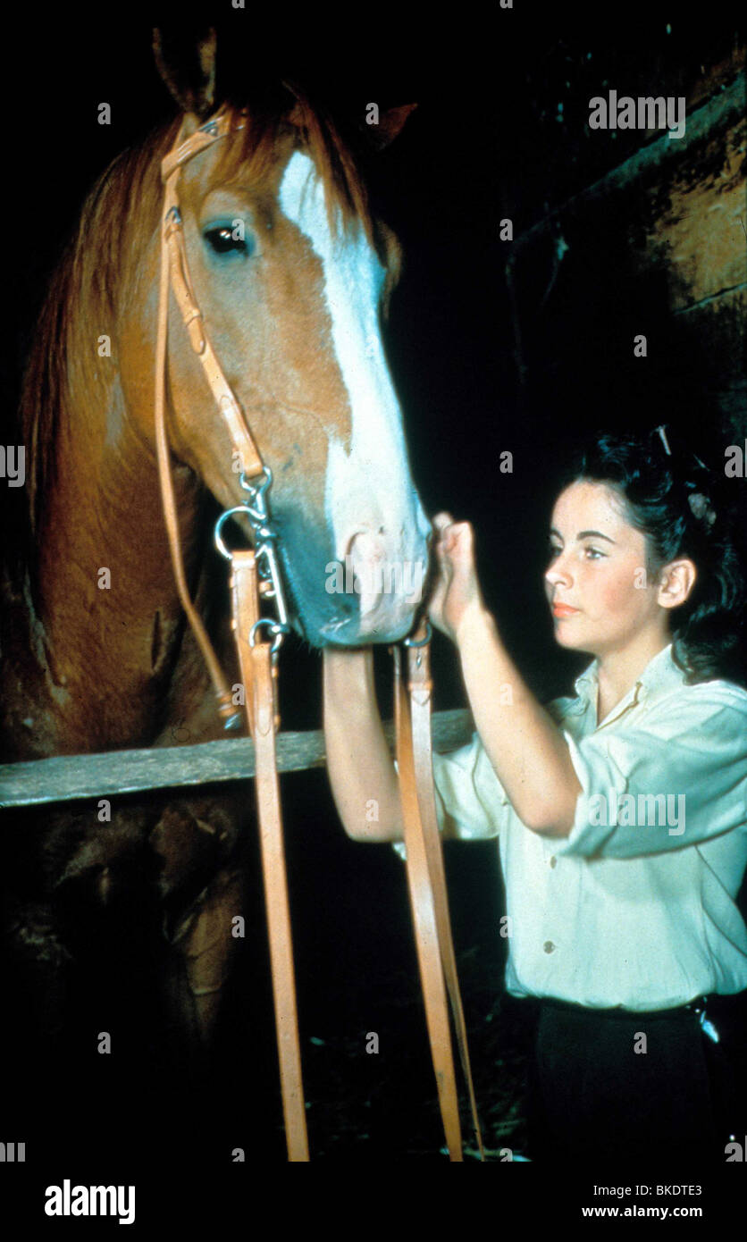 NATIONAL VELVET (1944) ELIZABETH TAYLOR NVLT 009 Stock Photo Alamy