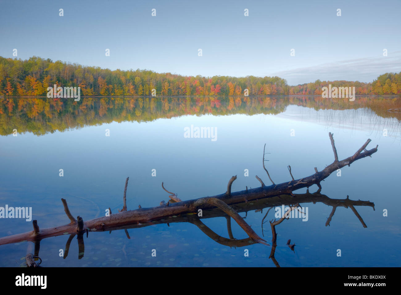 Lake Lake