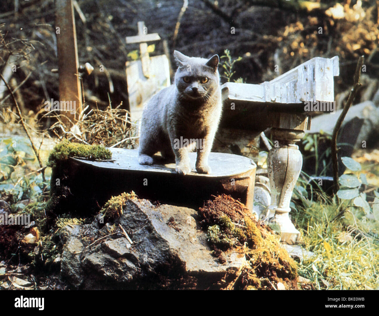 PET SEMATARY -1989 Stock Photo