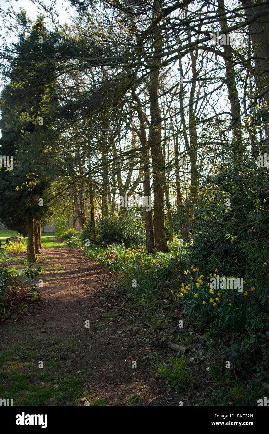 Leicestershire woods woodland hi-res stock photography and images - Alamy