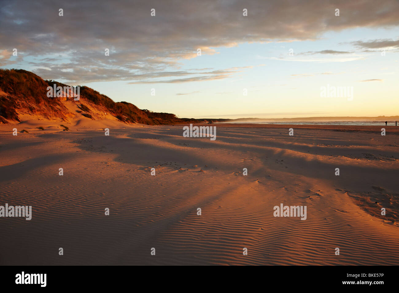 Last Light on Sand Ripples, Ocean Beach, Strahan, Western Tasmania, Australia Stock Photo