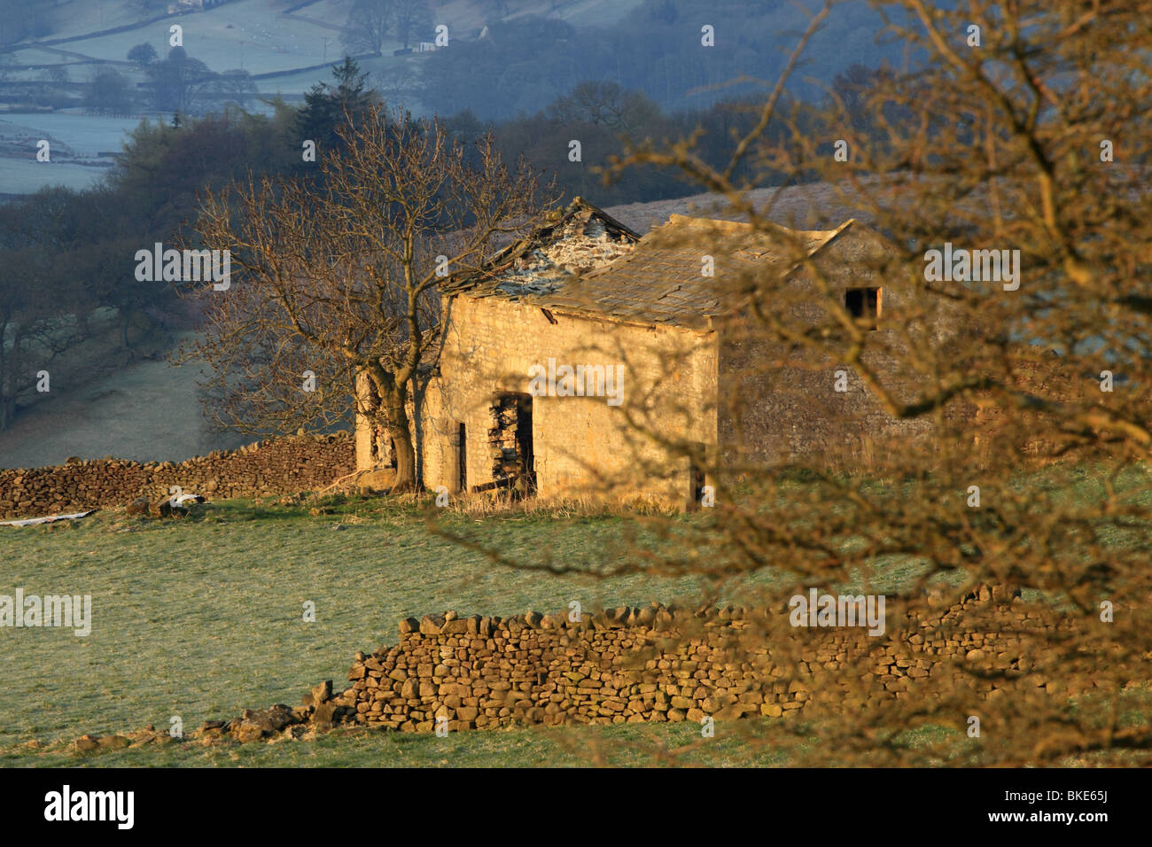A partly ruined field barn near Appletreewick, Upper Wharfedale, Yorkshire Dales, England, UK Stock Photo