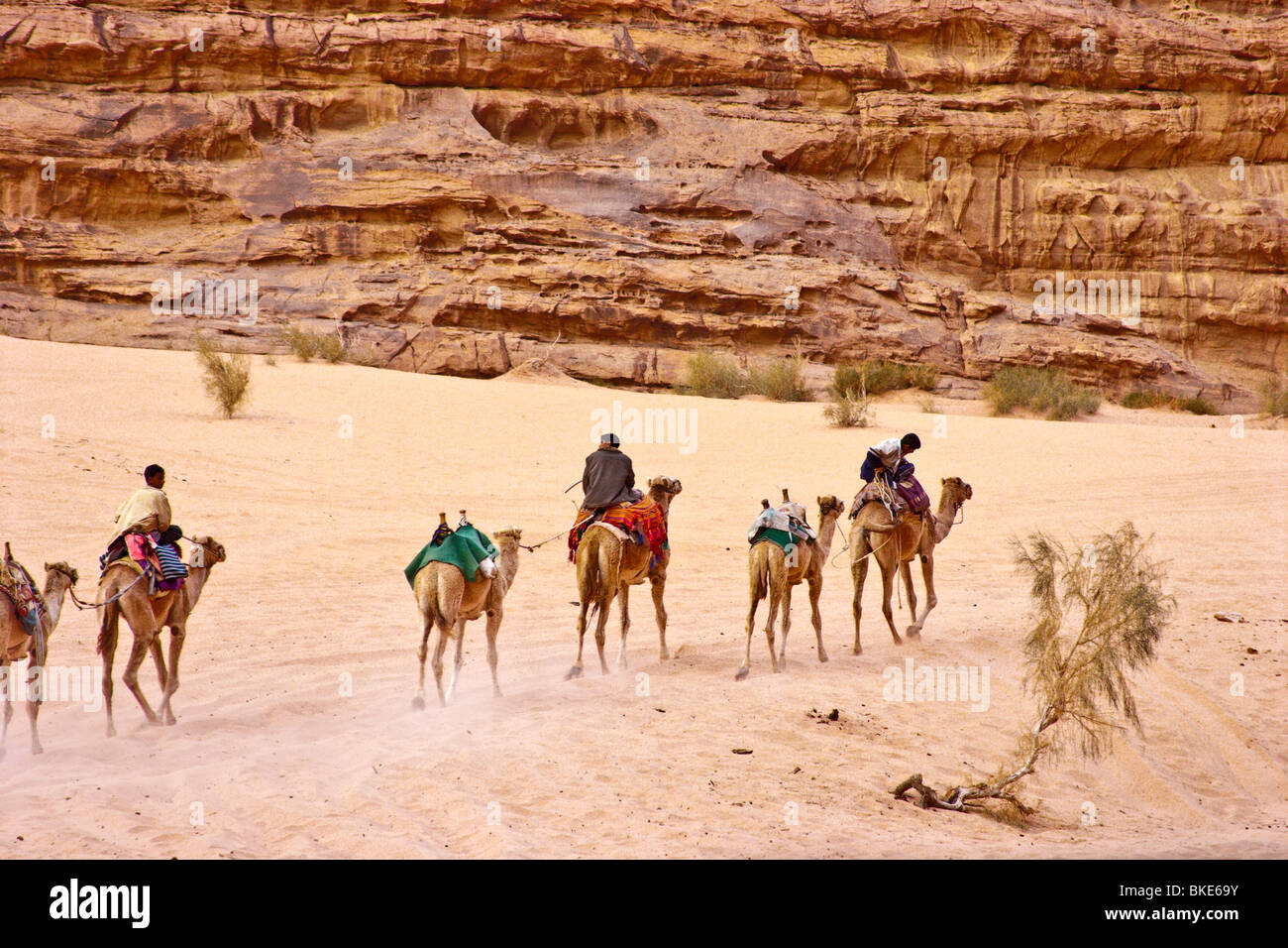 Camel train in the desert , Wadi Rum , Jordan Stock Photo