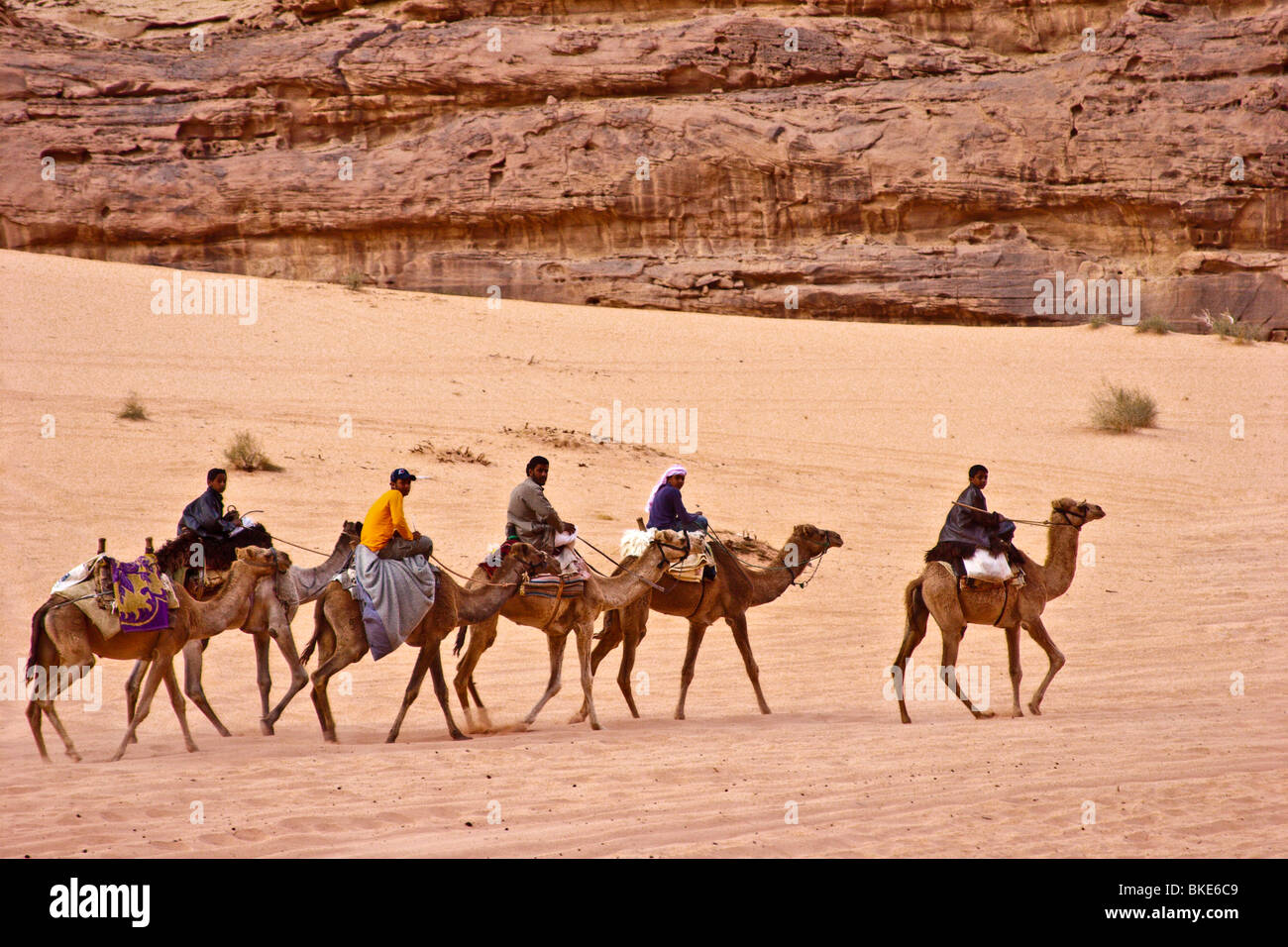 Camel train in Wadi Rum , Jordan Stock Photo