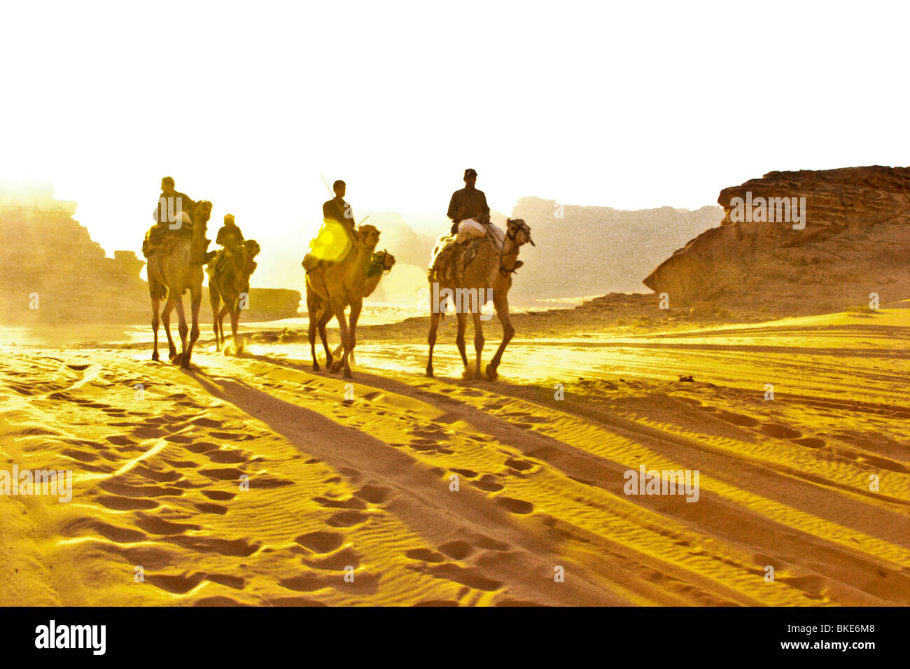 Camel being ridden hi-res stock photography and images - Alamy