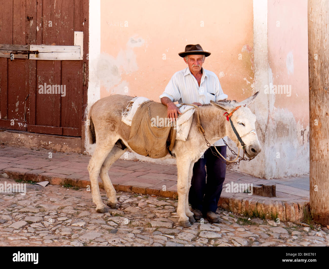 Old man with Mule or donkey in Old Trinidad Village, Cuba Stock ...