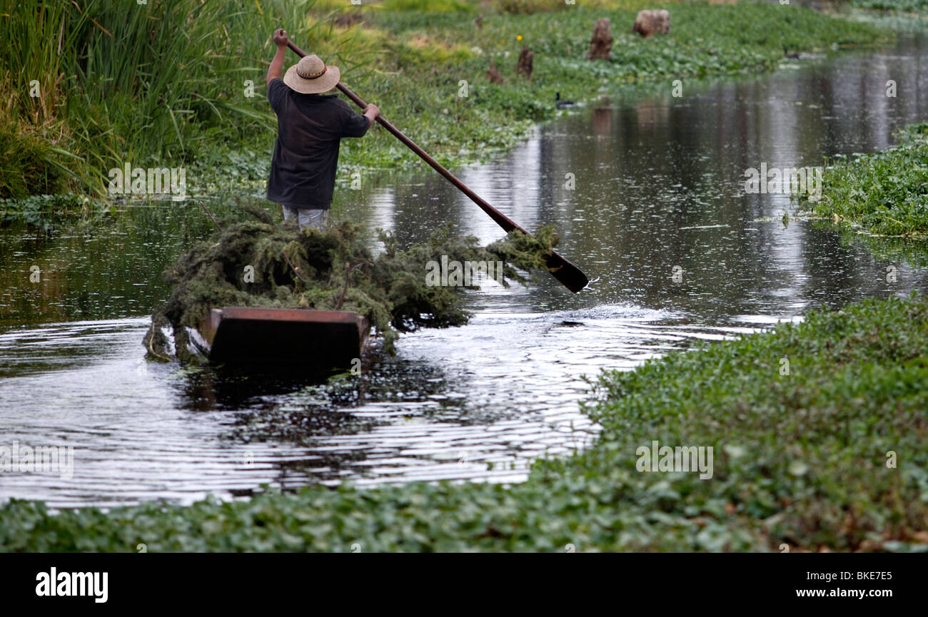 A farmer navigates through a water canal to transport his crops in San ...