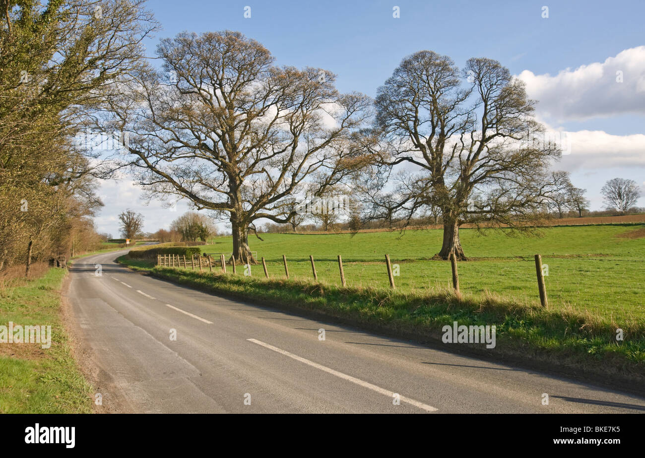 English country road at Egglestone, County Durham, UK Stock Photo Alamy