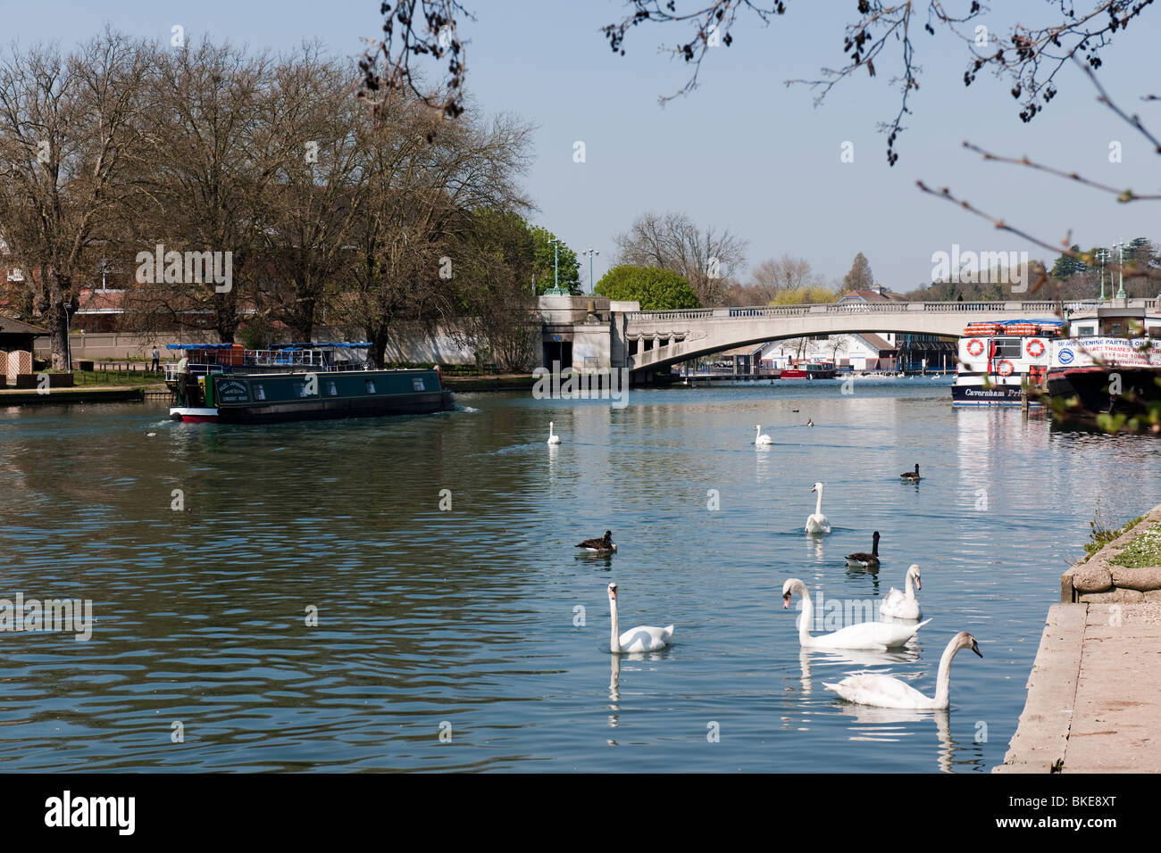 The River Thames, Caversham Bridge, Reading, Berkshire Stock Photo