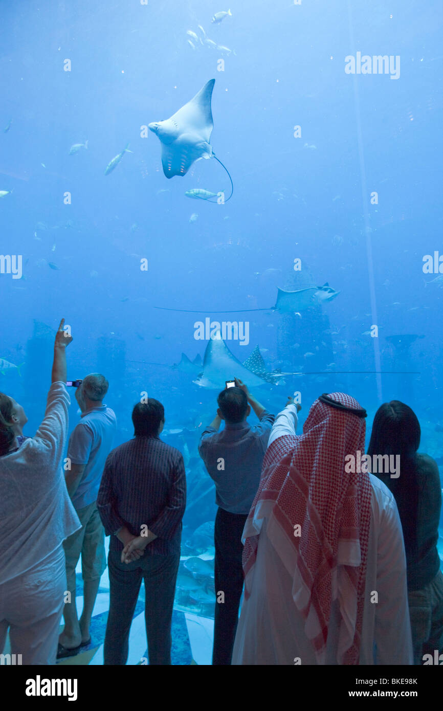 Atlantis Hotel, The Palm Jumeirah, Visitors watching the Aquarium at East Tower Lobby , Manta stingray, Stock Photo