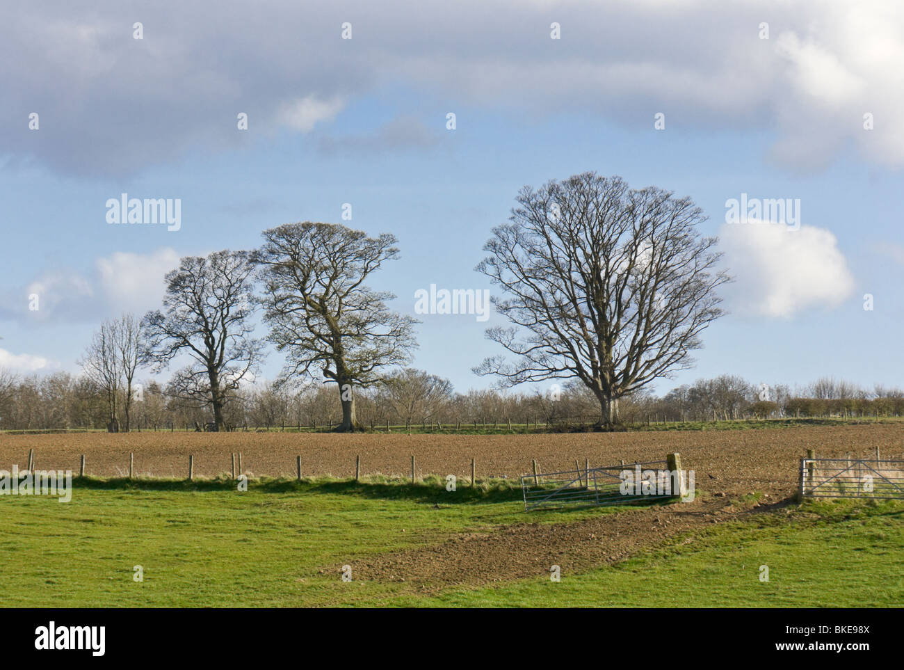 Agricultural land uk hires stock photography and images Alamy