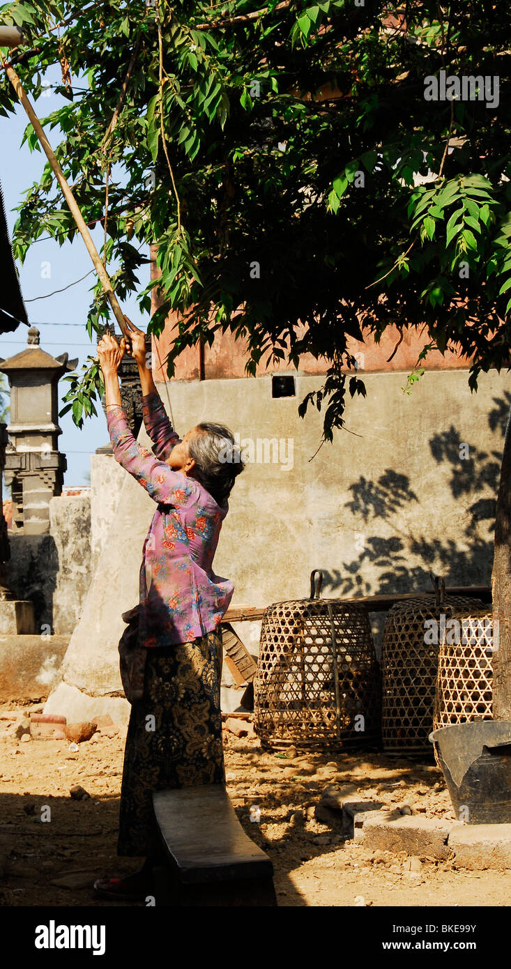 sembrian , bali aga village , lovina , bali , indonesia Stock Photo