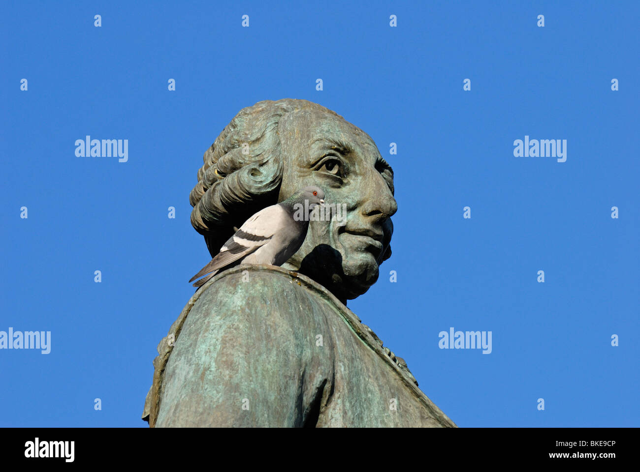 Madrid, Spain. Puerta del Sol. Equestrian Statue of Charles III and pigeon Stock Photo