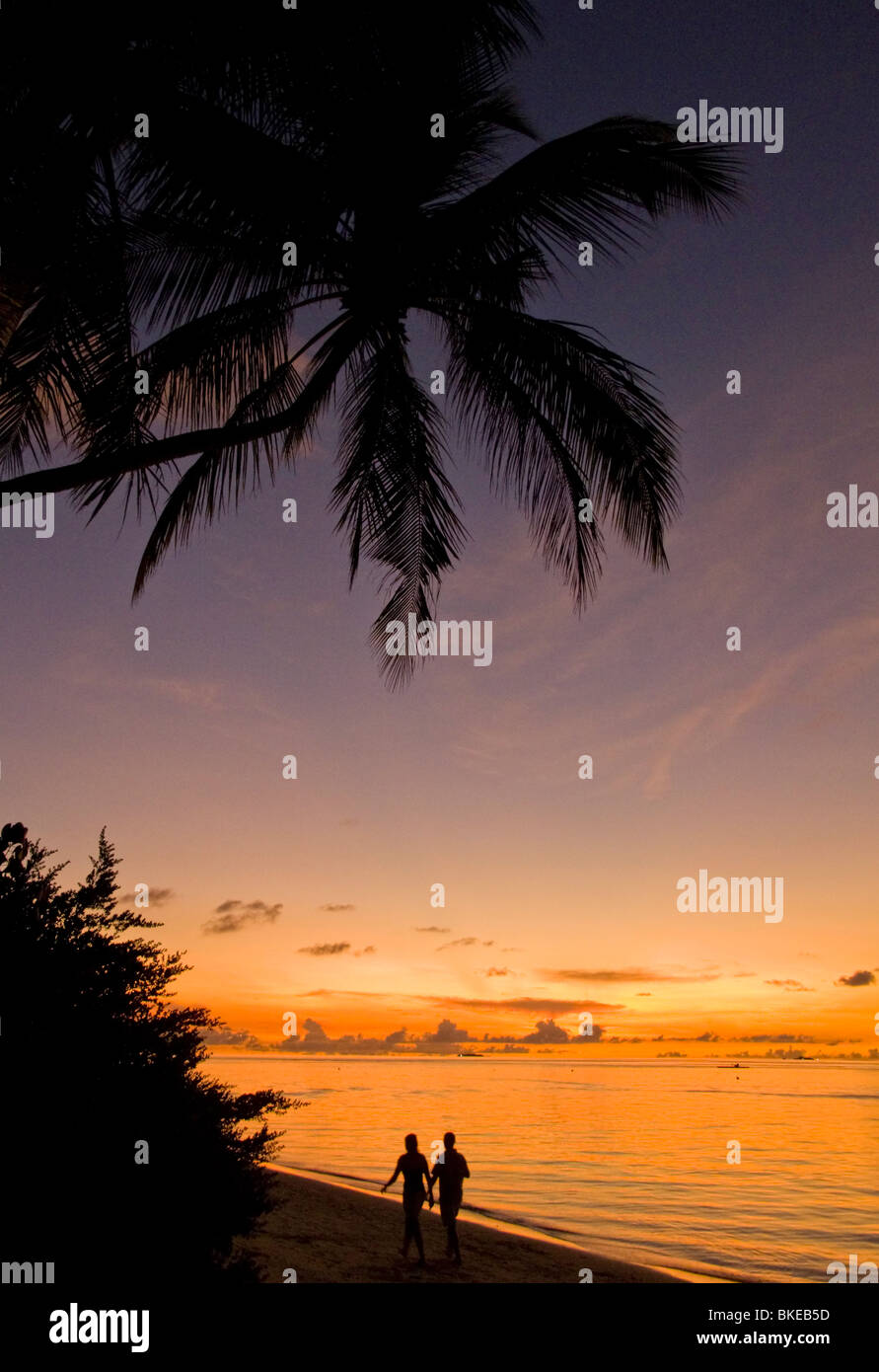 Palm trees at the beach of Biyadhoo Island at sunset ,Couple, Indian Ocean , South Male Atoll , Maldives Stock Photo