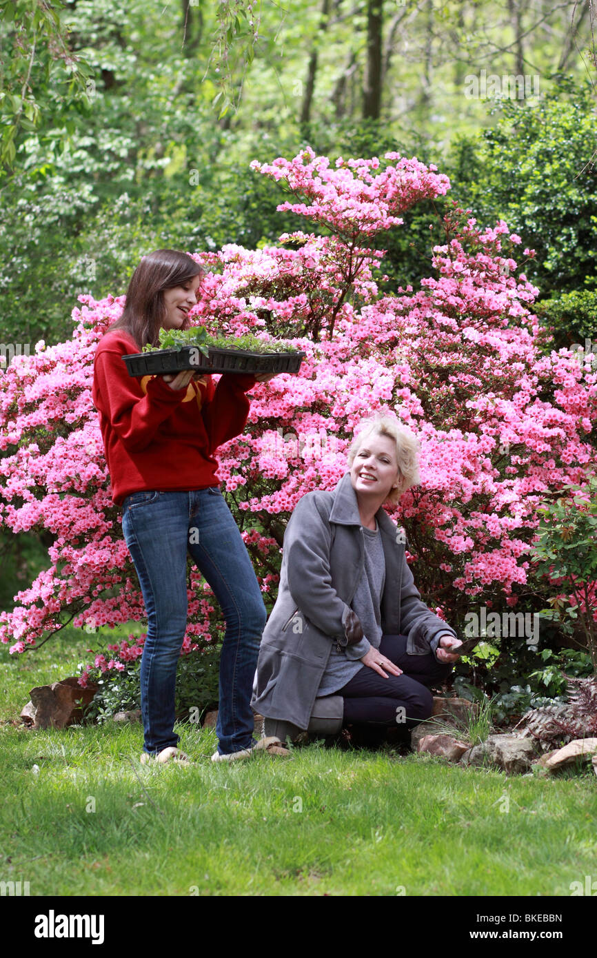 mother daughter gardening spring tulips azalea Stock Photo