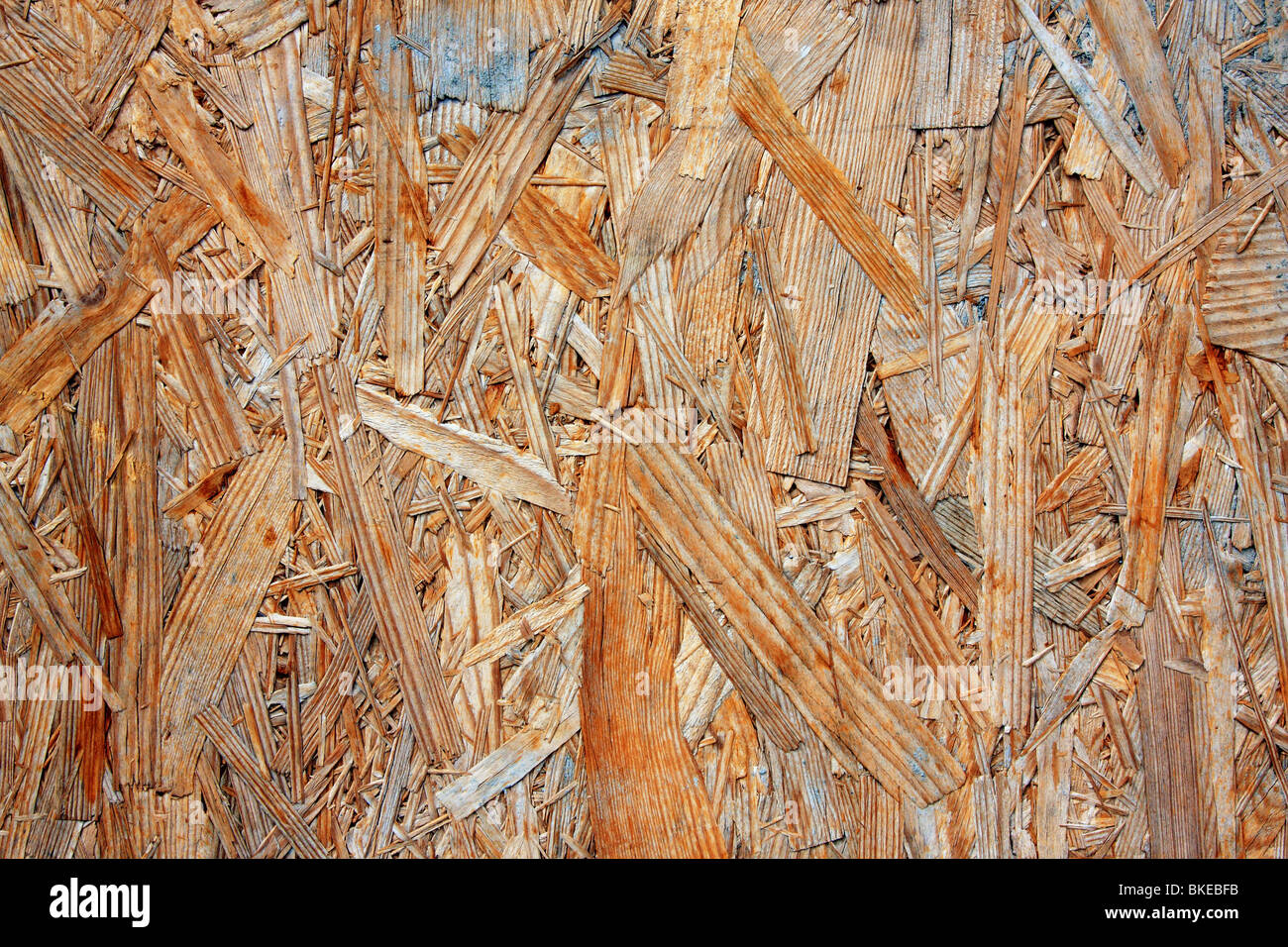 Texture of a wooden wall. Stock Photo