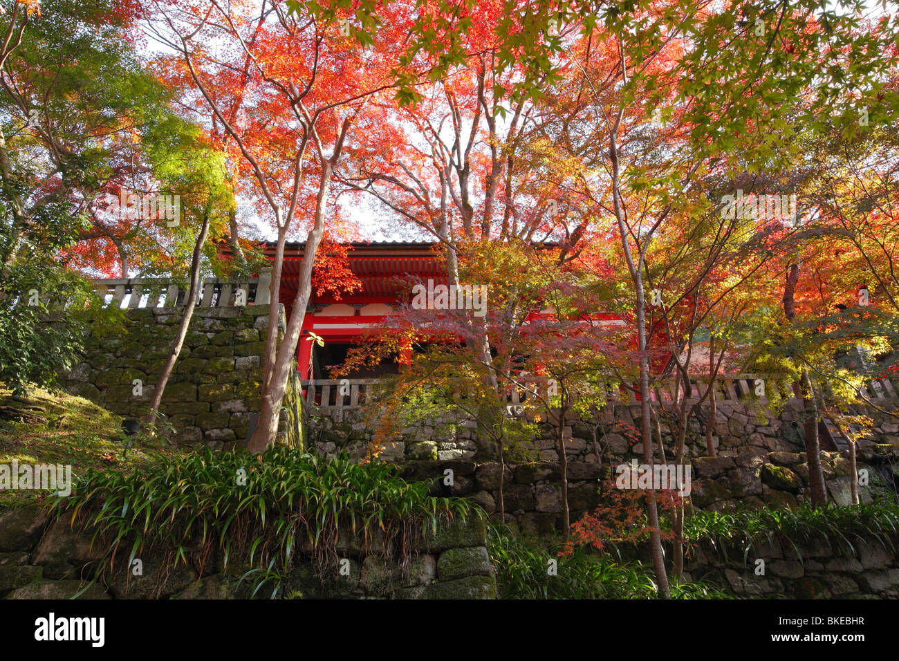 Kiyomizu-dera temple of autumn tint Stock Photo