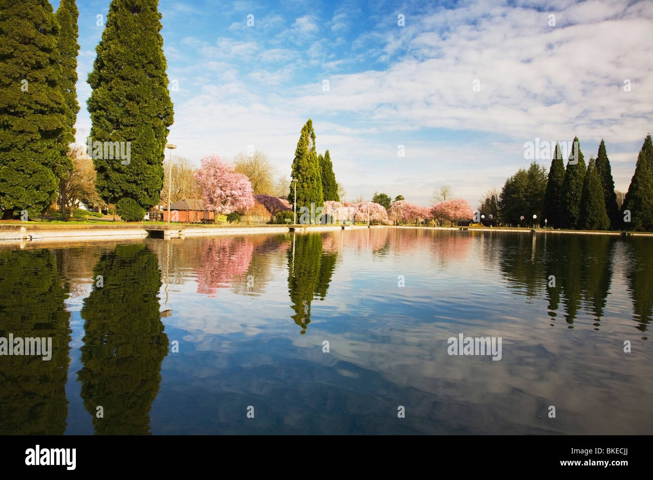 Crystal Spring Creek, Westmoreland Park, Portland, Oregon, Usa Stock Photo