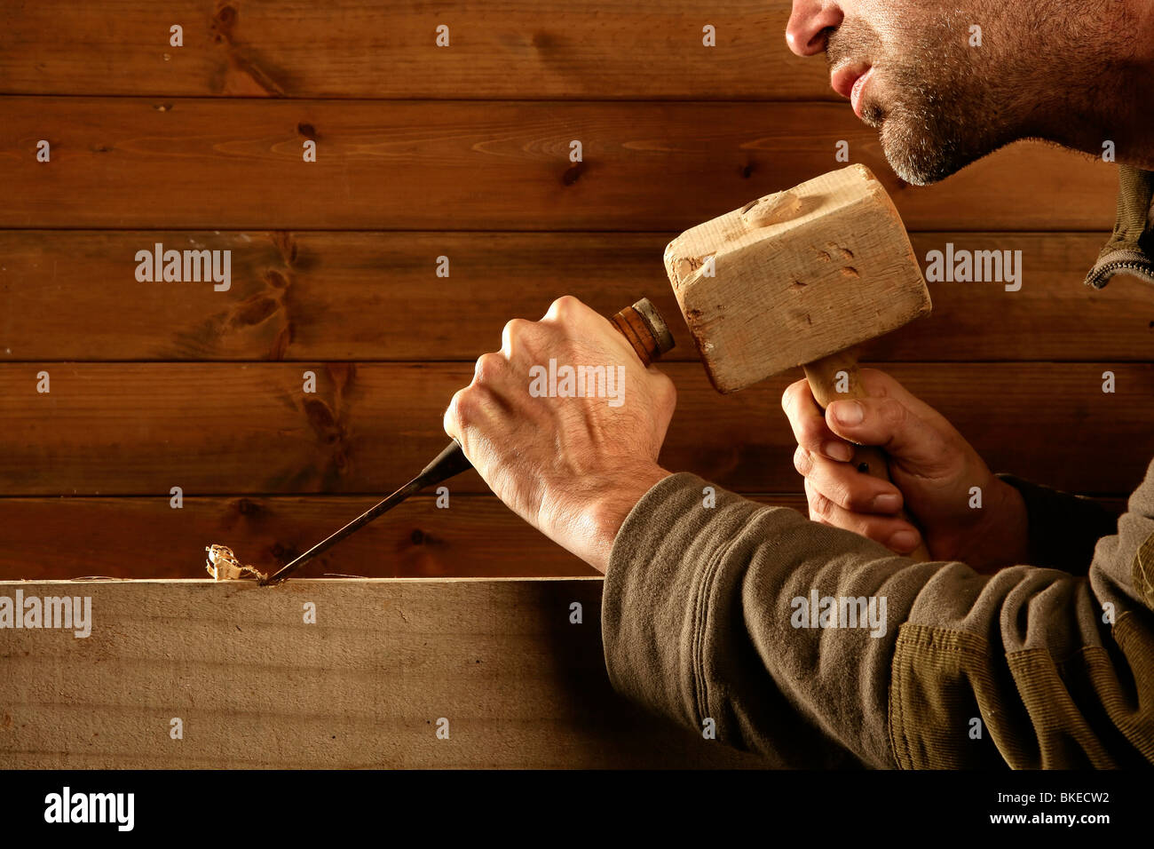 gouge wood chisel carpenter tool hammer in hand working wooden ...