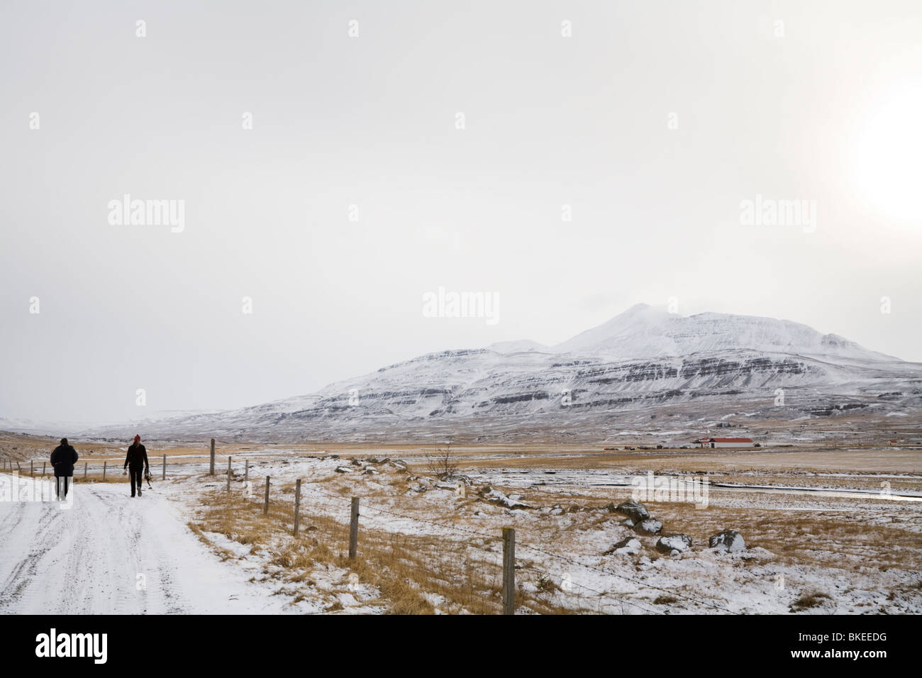 Nordic walking in the snow hi-res stock photography and images - Alamy