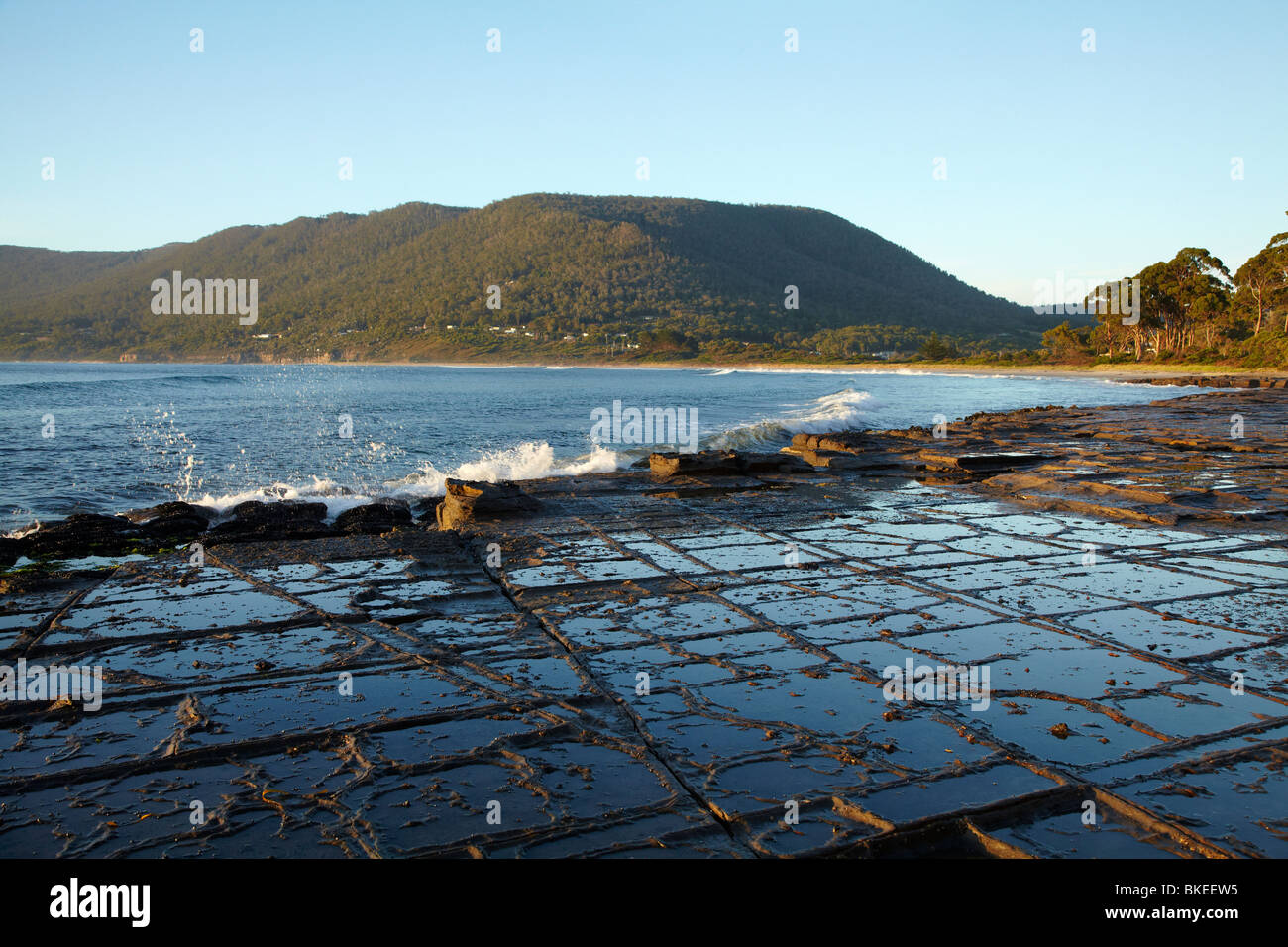 Tessellated Pavement, Eaglehawk Neck, Tasman Peninsula, Southern Tasmania, Australia Stock Photo