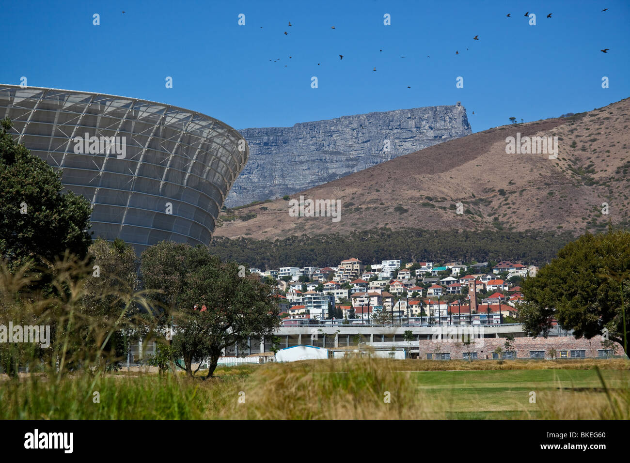 The Green Point Football Stadium, Capetown, South Africa Stock Photo ...