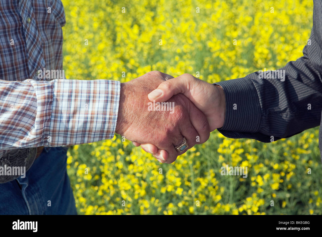 Golden handshake hires stock photography and images Alamy